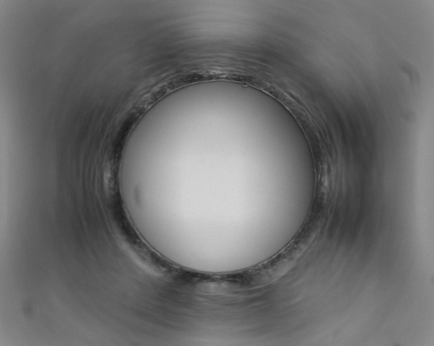 X0000111350408200907100939