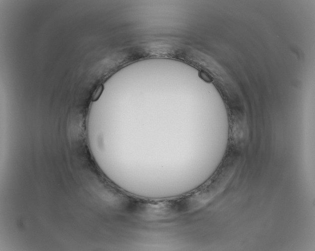X0000111350411200907100939