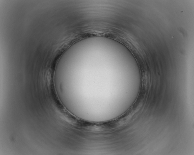 X0000111350412200907100939