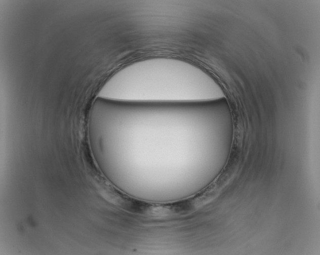 X0000111350413200907100939