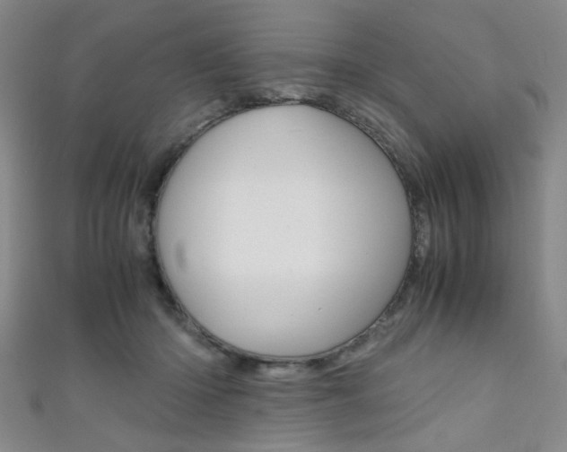 X0000111350414200907100939