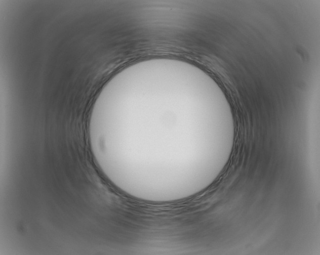 X0000111350415200907100939