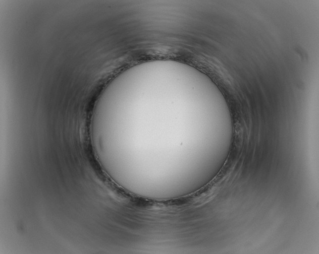 X0000111350416200907100939