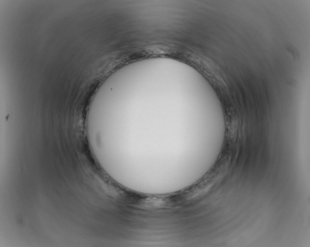 X0000111350418200907100939