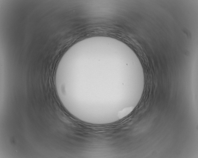 X0000111350419200907100939