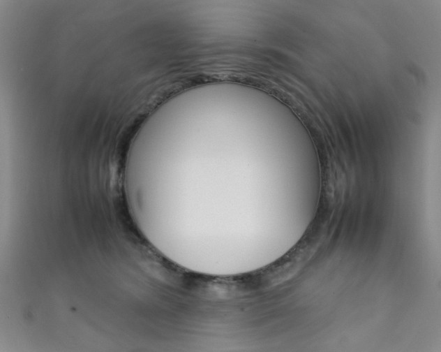 X0000111350420200907100939