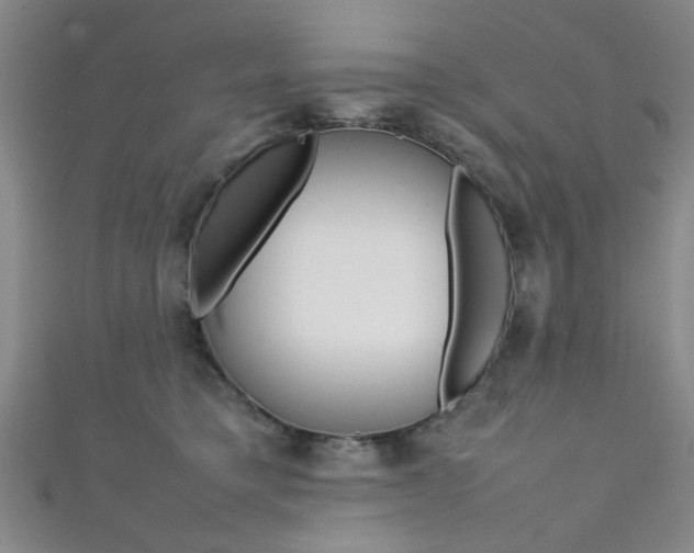 X0000111350421200907100939