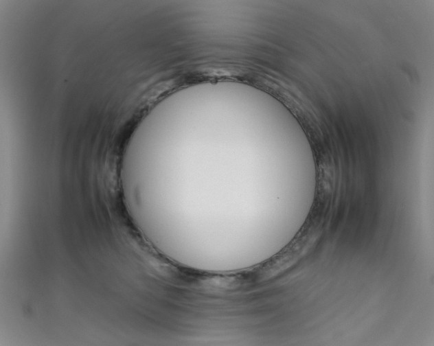 X0000111350422200907100939