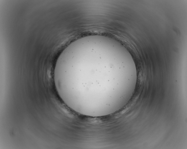 X0000111350424200907100939