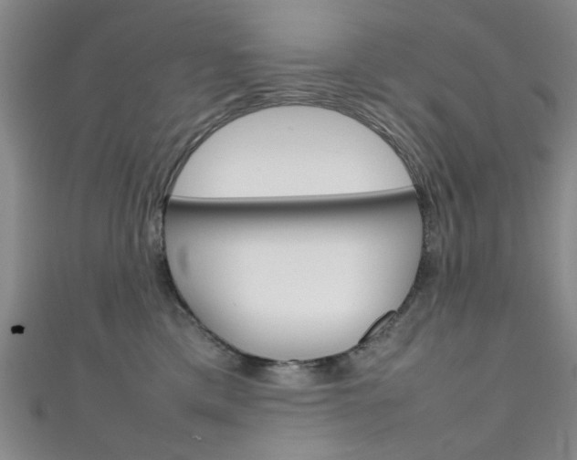 X0000111350425200907100939
