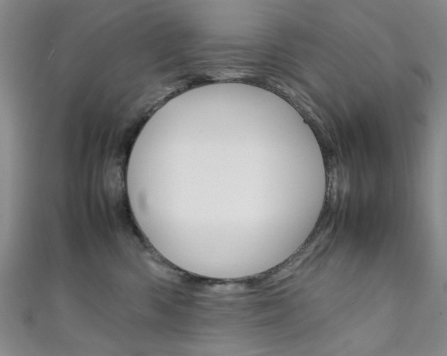X0000111350426200907100939
