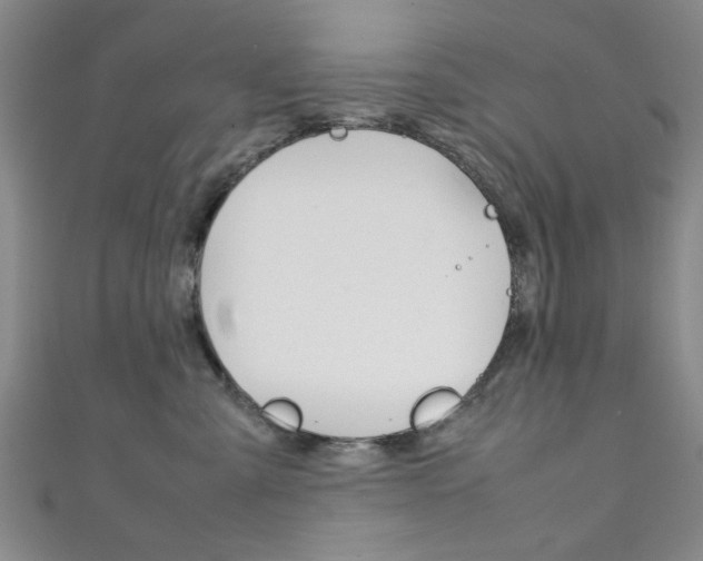 X0000111350427200907100939