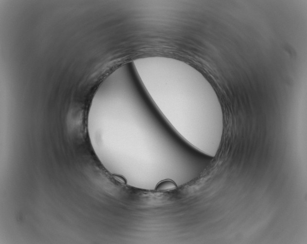 X0000111350428200907100939