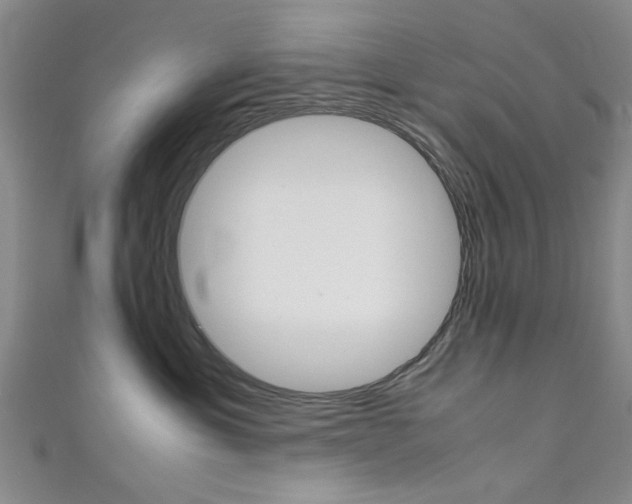 X0000111350429200907100939