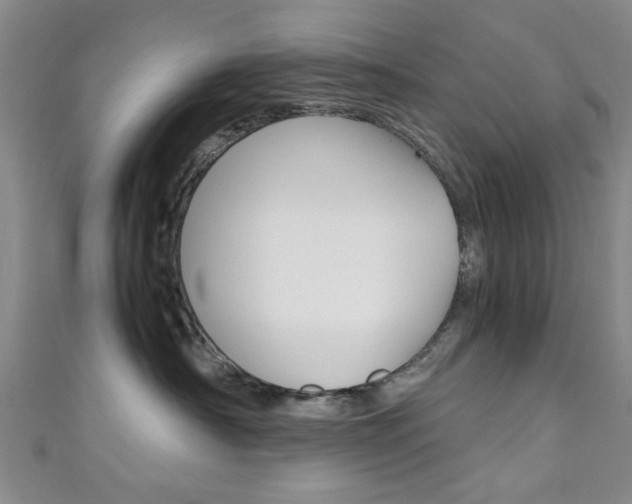 X0000111350430200907100939