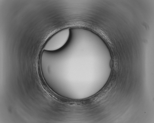 X0000111350434200907100938
