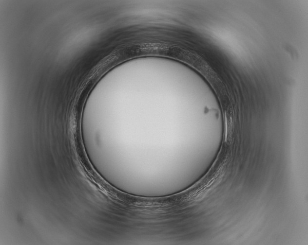 X0000111350435200907100938
