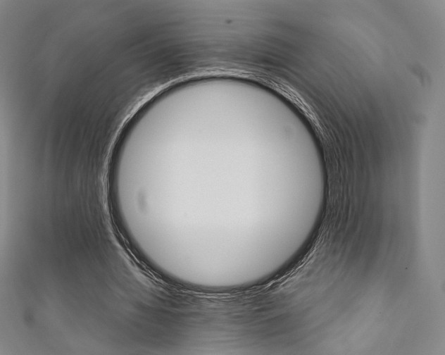 X0000111350436200907100938