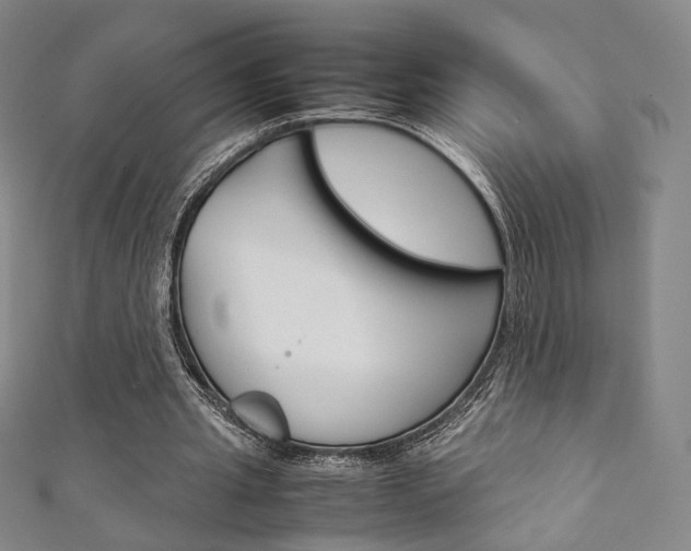 X0000111350437200907100938