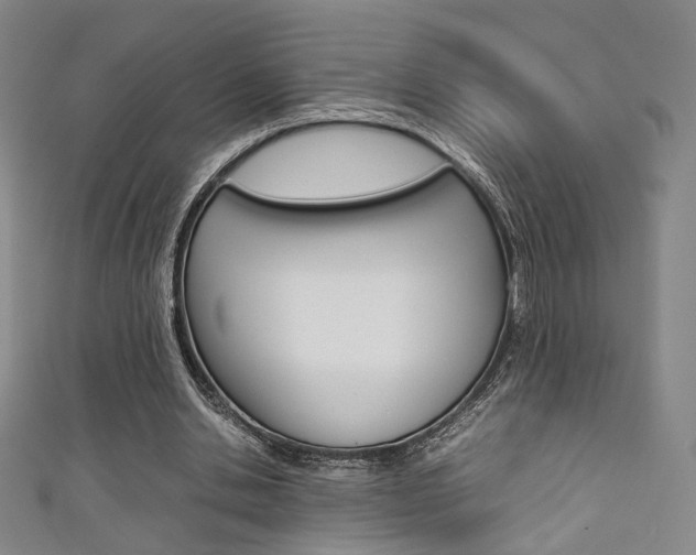 X0000111350438200907100938