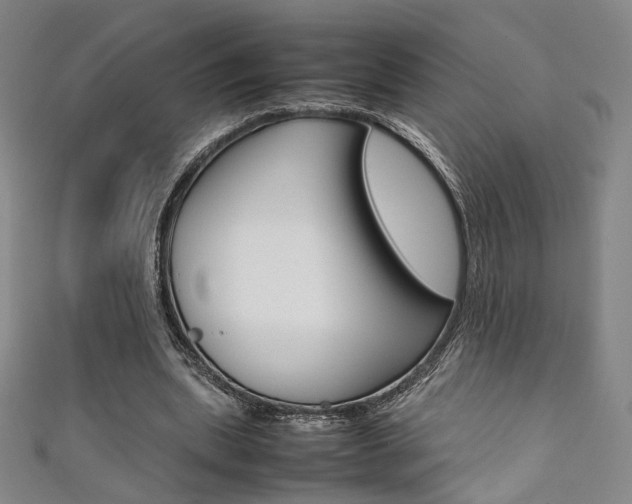 X0000111350439200907100938