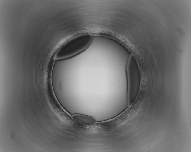 X0000111350440200907100938
