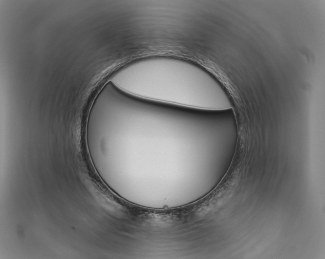 X0000111350442200907100938