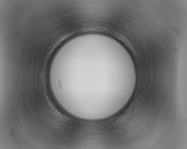 X0000111350444200907100938