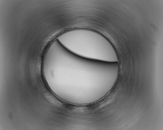 X0000111350446200907100938