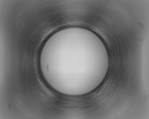 X0000111350448200907100938