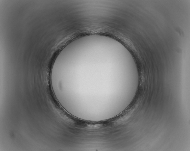 X0000111350450200907100938
