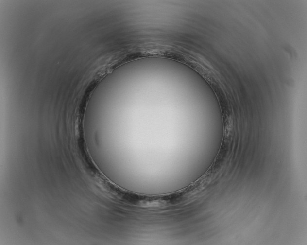 X0000111350452200907100938