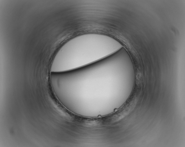 X0000111350454200907100938