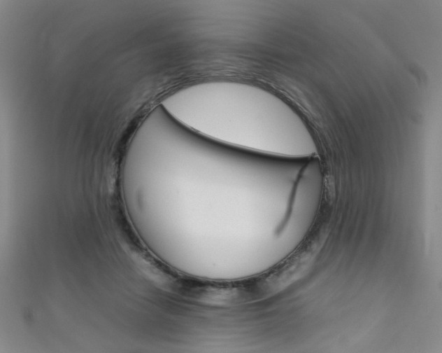 X0000111350458200907100938
