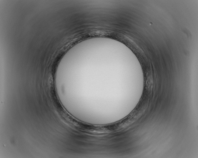 X0000111350459200907100938