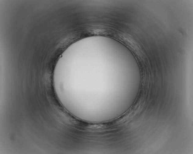 X0000111350461200907100938