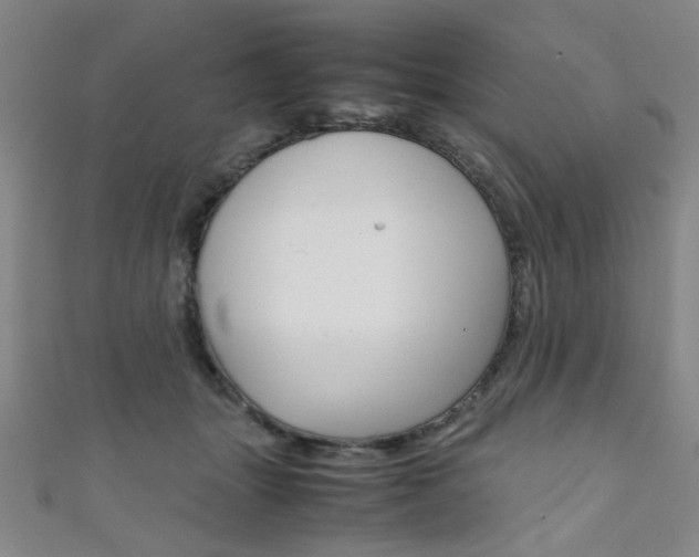 X0000111350463200907100938