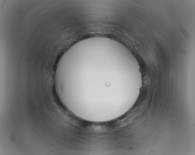 X0000111350464200907100938