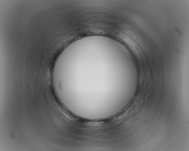 X0000111350465200907100938