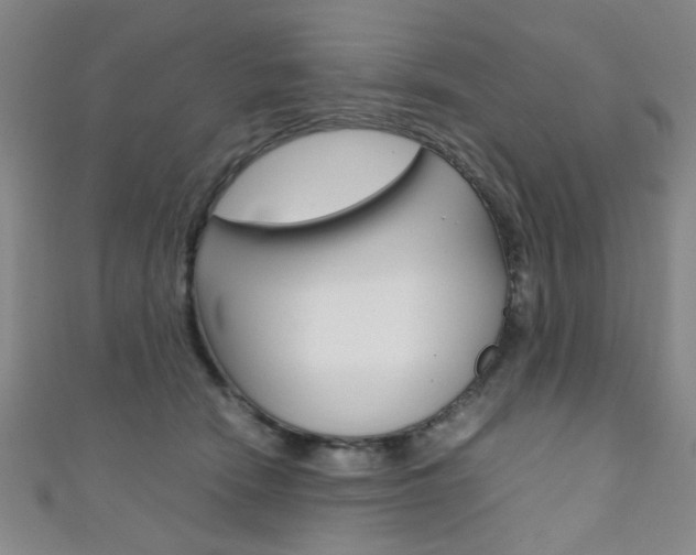X0000111350466200907100938