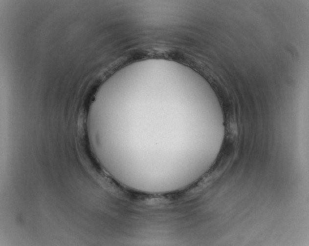 X0000111350468200907100938