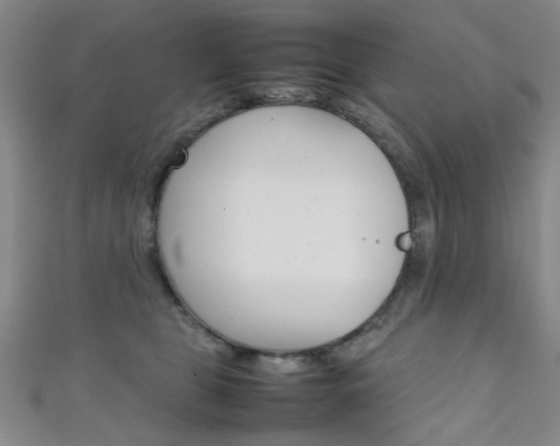 X0000111350469200907100938