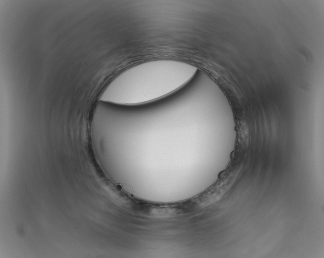 X0000111350470200907100938
