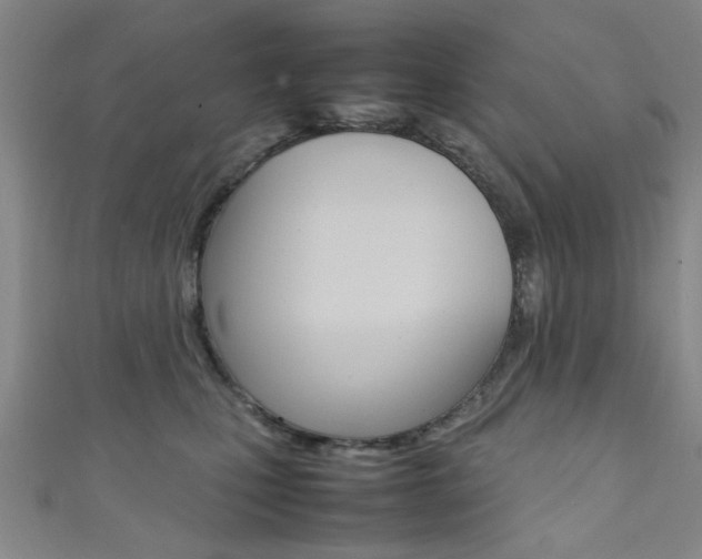 X0000111350471200907100939