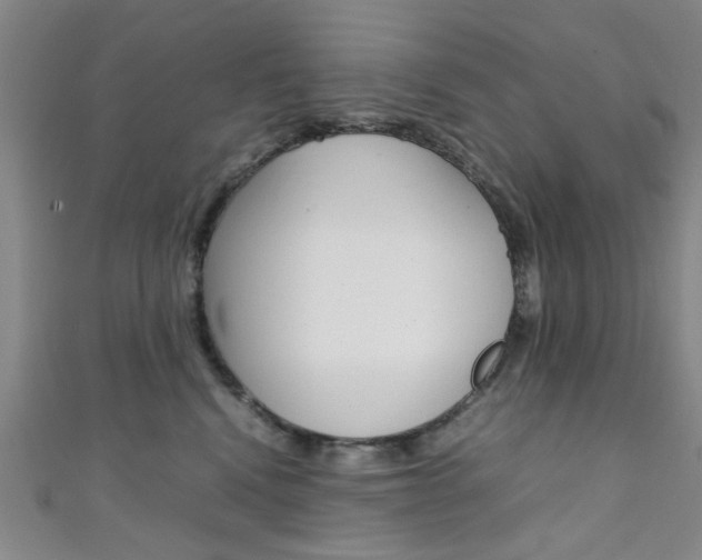 X0000111350472200907100939