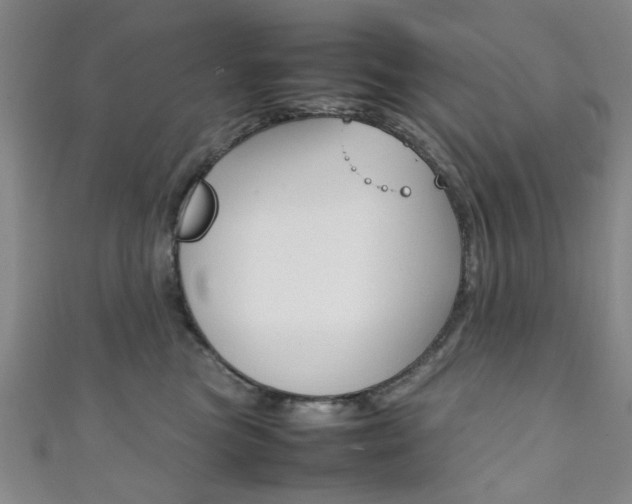 X0000111350473200907100939