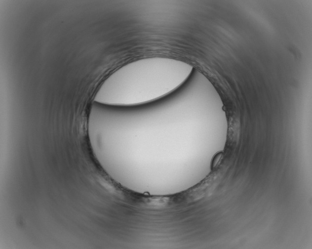 X0000111350474200907100939