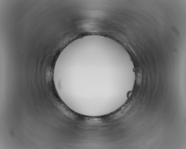X0000111350476200907100939
