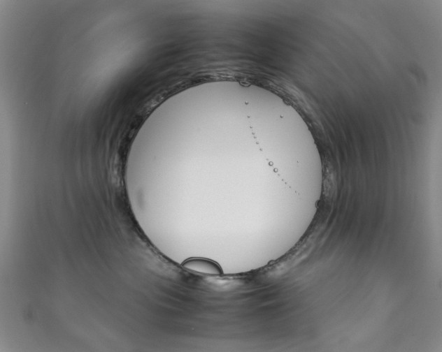 X0000111350477200907100939