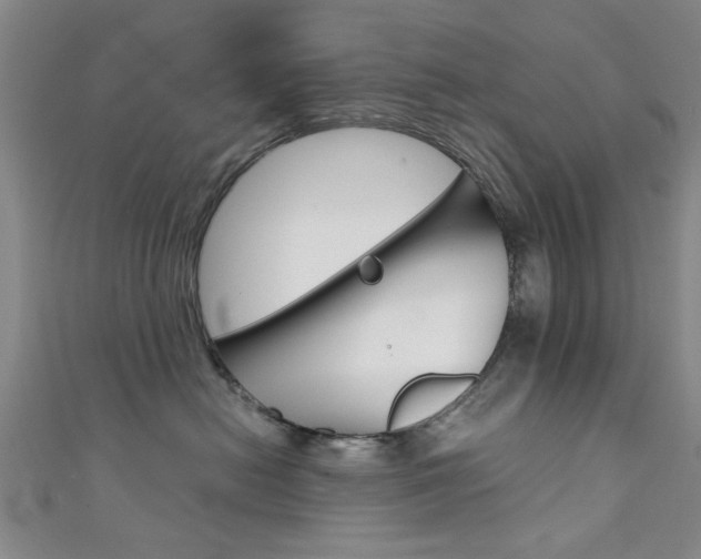 X0000111350478200907100939